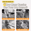 Pet Outdoor Harness and Hat Sets for Small Dogs and Cats