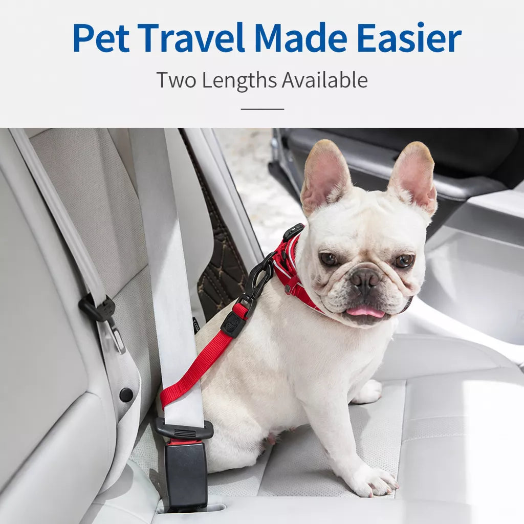 Pet Car Seat Belt Leash for Dogs p-05413