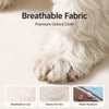 Elevated Dog Cot Bed with Nylon Surface