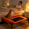 Elevated Pet Bed for Small to Medium Dogs and Cats