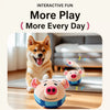 Interactive Electronic Dog Toy with Jumping Ball and Pig