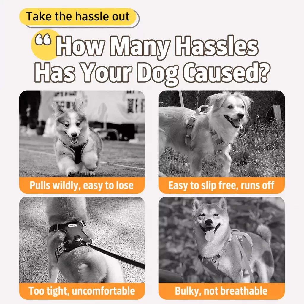 Pet Harness, Leash & Hat Sets for Dogs and Cats