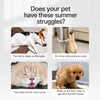 Washable Polyester Pet Bed Mat for Dogs & Cats