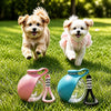 Portable Foldable Dog Water Bowl