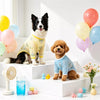 Lightweight Four-Leg Dog Bodysuit for Summer