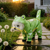 Frog Full-Coverage Raincoat for Dogs with Leash Opening