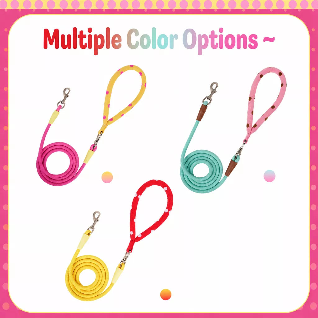 Dog Leash for Everyday Walks