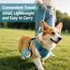 Portable Pet Water Bottle with Fold-Down Bowl and Strap