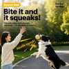 Squeaky Dog Ball Toys for Small and Medium Dogs