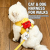 Cute Food-Themed Harness and Leash Set for Small Pets