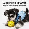 Durable Dog Ball Toy for Chewing and Interactive Play