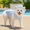 Lightweight Mesh Reflective Dog Vest