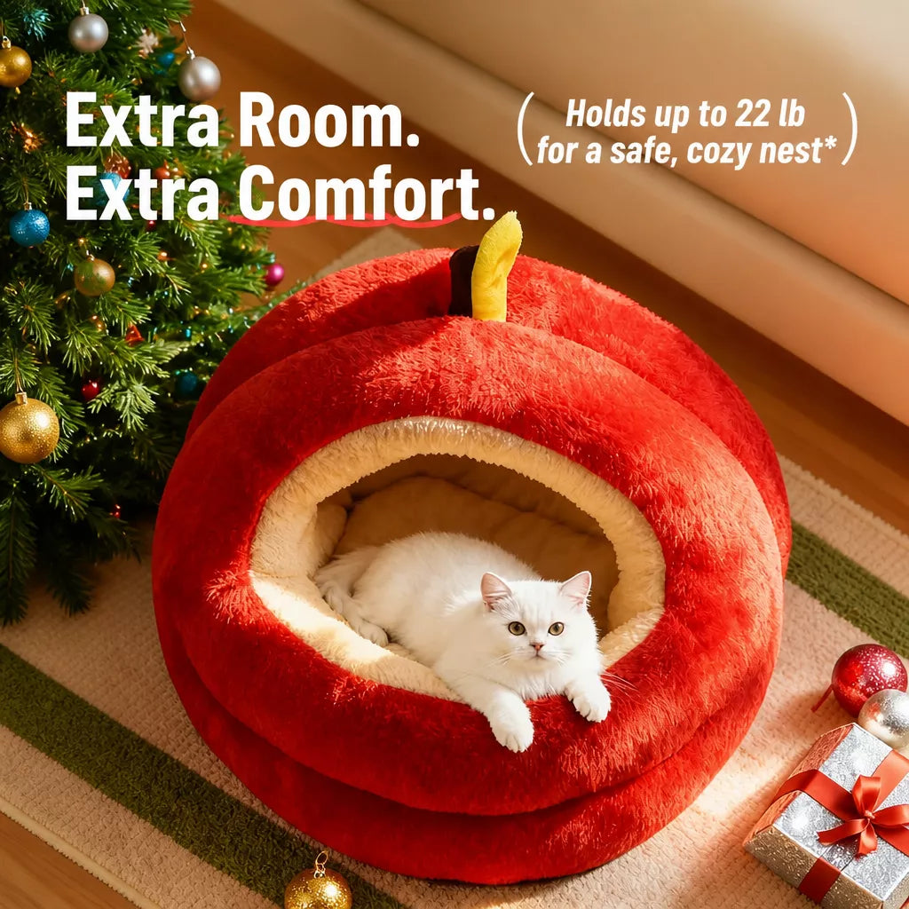 Covered Pet Tent Bed for Cats and Small Dogs
