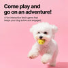 Cartoon Spiky Squeaky Ball Toy for Dogs
