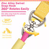 Dog Leash for Everyday Walks