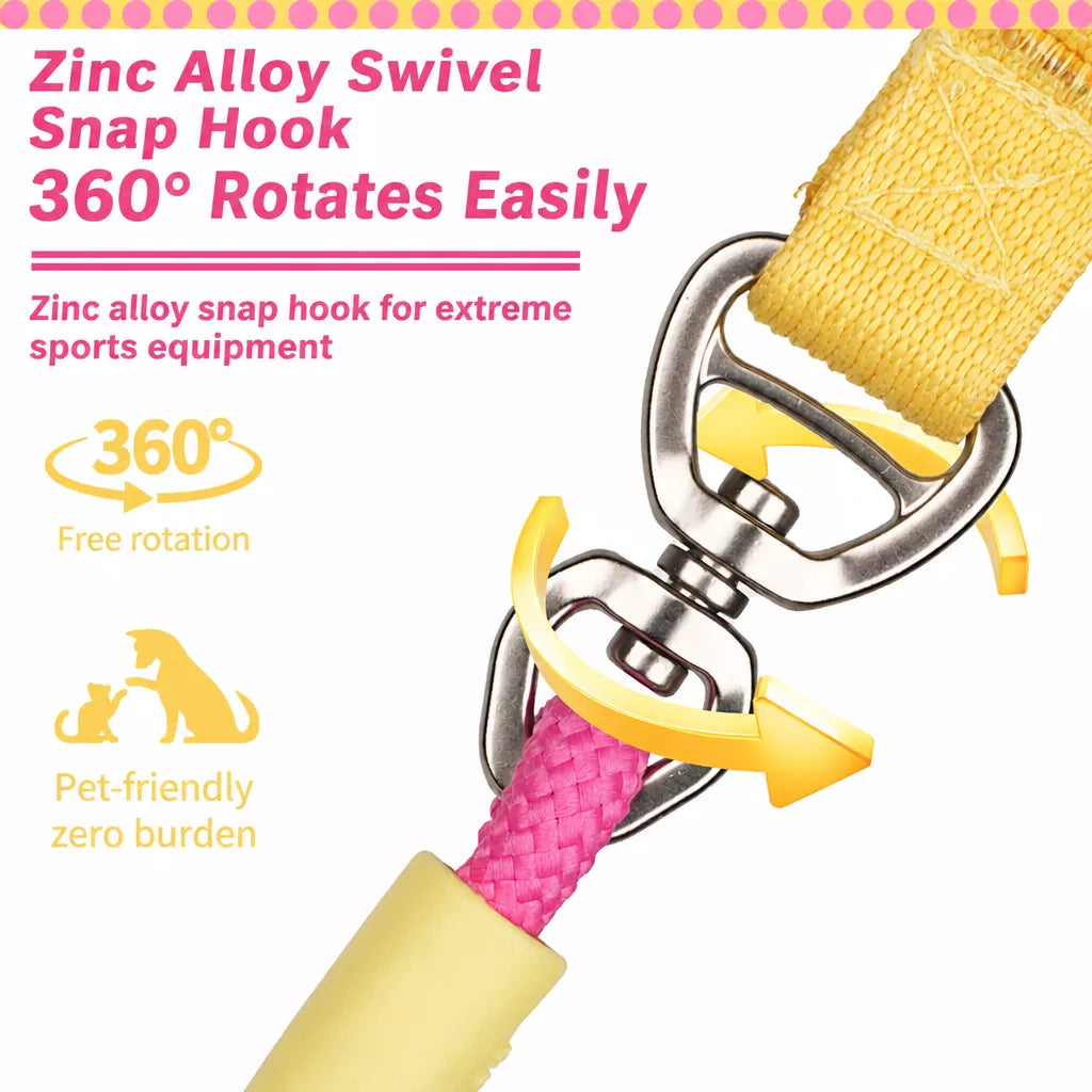 Dog Leash for Everyday Walks