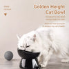 Ceramic Angled Elevated Pet Bowl