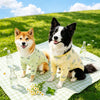 Lightweight Four-Leg Dog Bodysuit for Summer