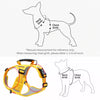 Vest-Style Dog Harness