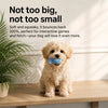 Squeaky Dog Ball Toy