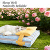 Striped Pet Beds with Pillow – Round, Long & Flat Styles