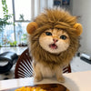 Playful Pet Costume Hats for Cats & Dogs