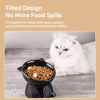 Ceramic Angled Elevated Pet Bowl