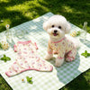 Lightweight Four-Leg Dog Bodysuit for Summer