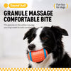 Squeaky Dog Ball Toys for Small and Medium Dogs