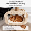 Cat Tree with Condo, Scratching Post & Hanging Toy