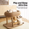 Oval Cat Bed and Sisal Scratcher
