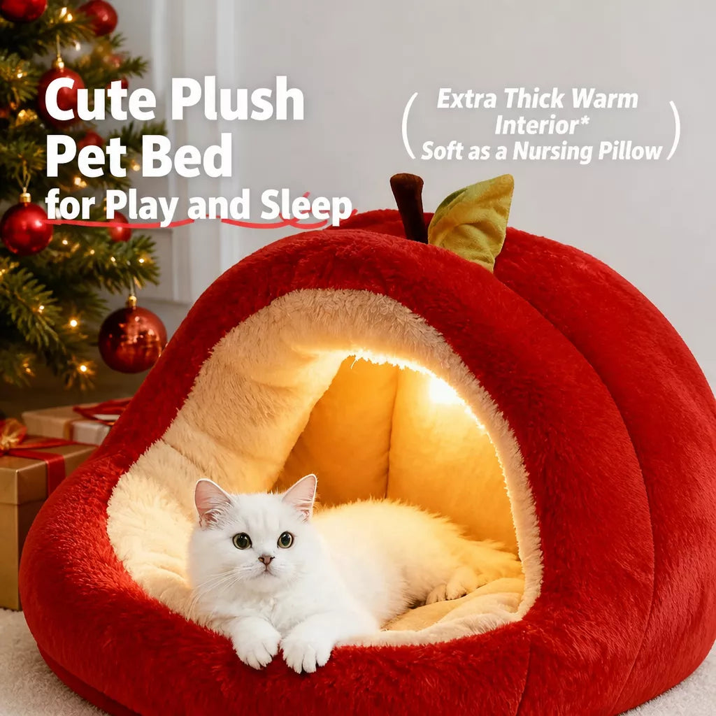 Covered Pet Tent Bed for Cats and Small Dogs
