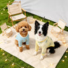 Lightweight Four-Leg Dog Bodysuit for Summer
