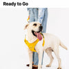 Nylon Dog Harness with Leash