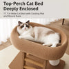 Oval Cat Bed and Sisal Scratcher