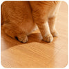 Cat Teaser Wand Toy with Feather and Bell Details