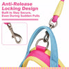 Dog Leash for Everyday Walks