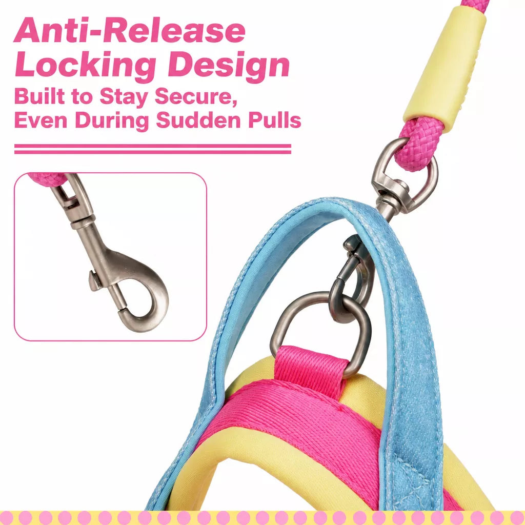 Dog Leash for Everyday Walks