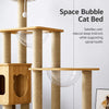 Cat Tree with Scratching Post and Enclosed Hideaway