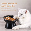 Ceramic Angled Elevated Pet Bowl