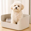 Plush Squeaky Dog Toys