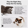 Retractable Cat Teaser Wand with Interchangeable Toy Heads