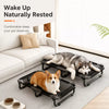Foldable Elevated Pet Cot Bed with Breathable Mesh