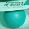 Cat Spinning Wheel Toy with Feather Wand and Colorful Balls