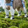 Dog Rain Suit with Covered Legs and Reinforced Paw Panels