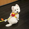 Cute Food-Themed Harness and Leash Set for Small Pets