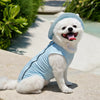 Lightweight Mesh Reflective Dog Vest