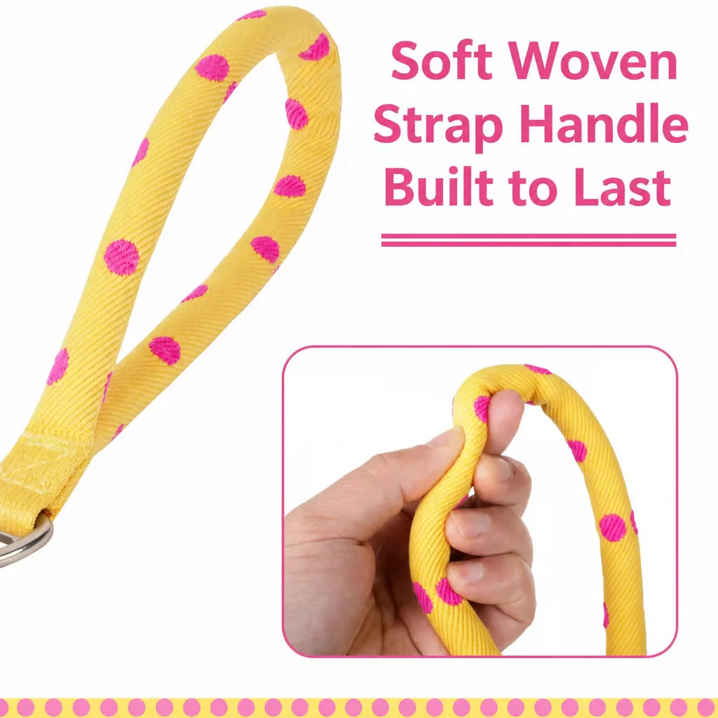 Dog Leash for Everyday Walks