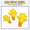 Plush Squeaky Dog Toys