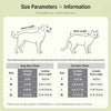 Breathable Mesh Pet Carrier Backpack